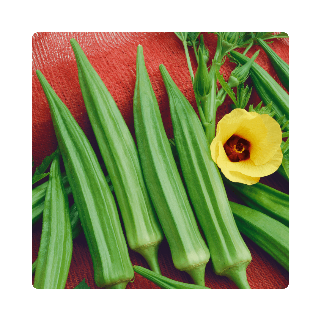 Okra